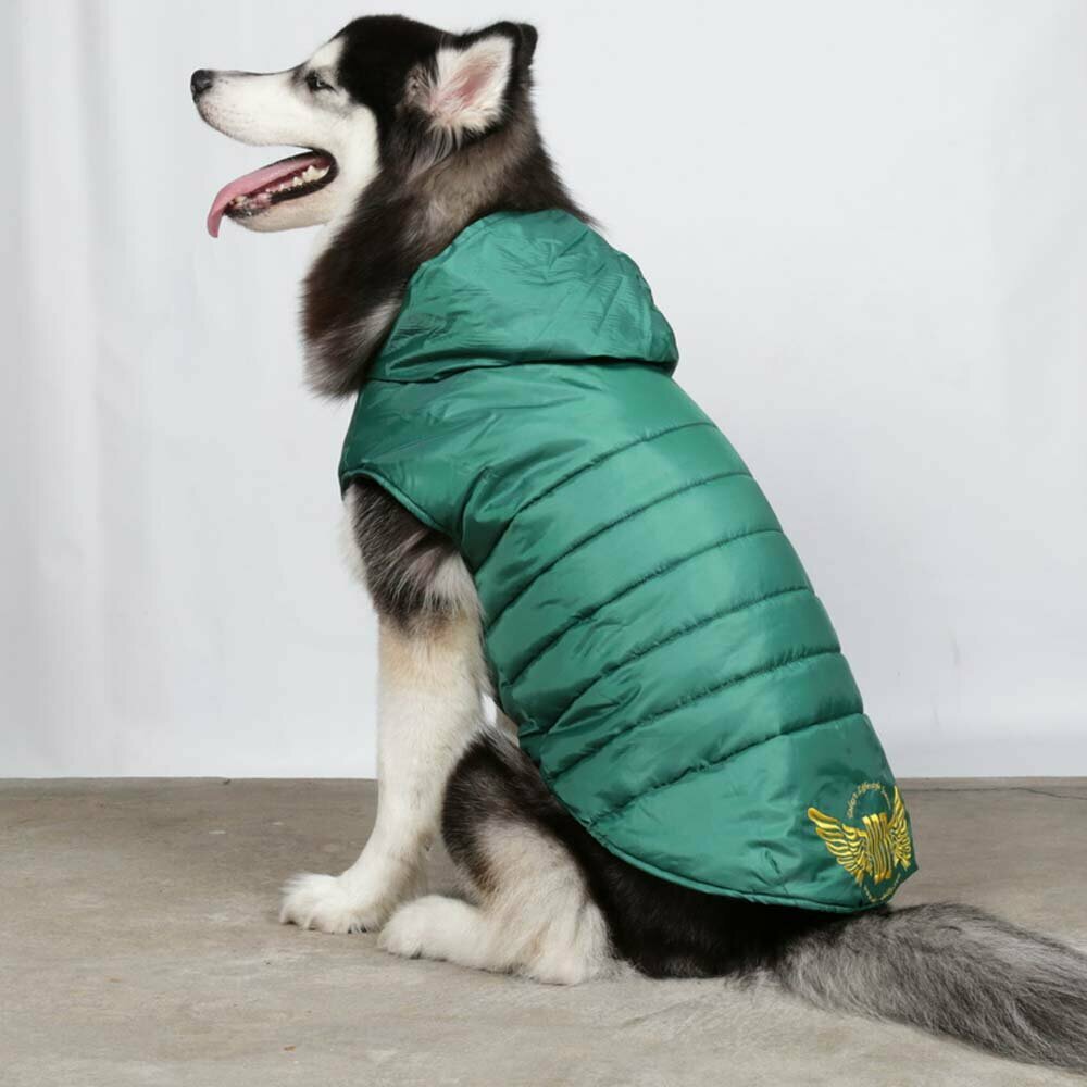 Warm dog jacket for big dogs green