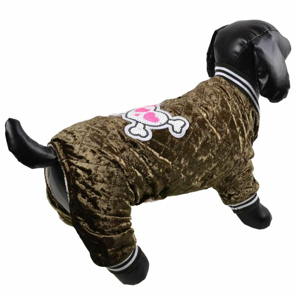 Warm dog coat for the cold winter of GogiPet