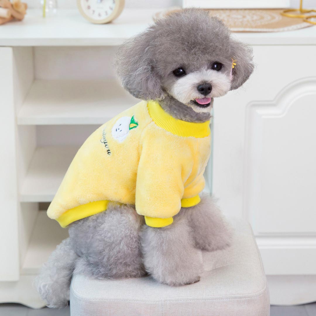 lovely dog jumper on cuddly soft fleece