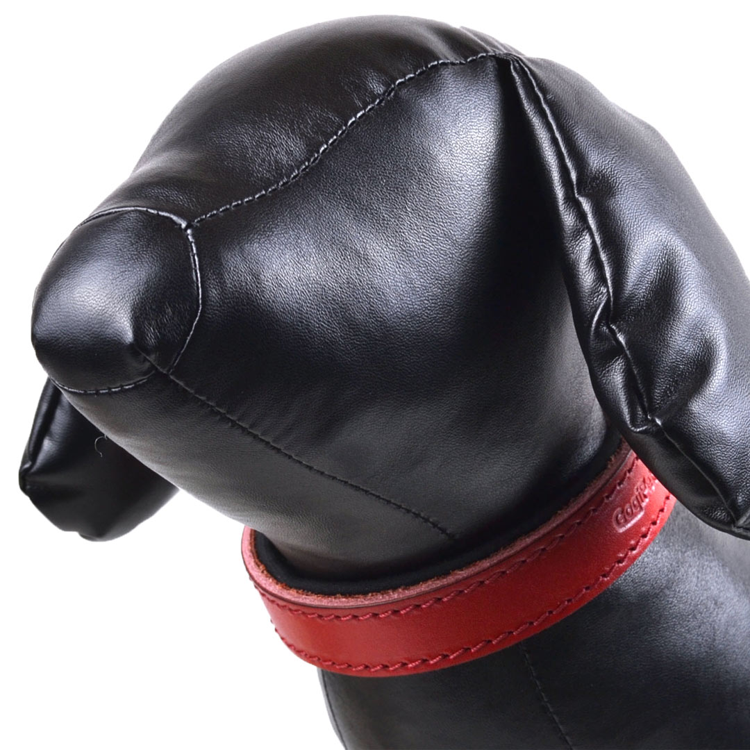 Red genuine leather dog collar with soft lining