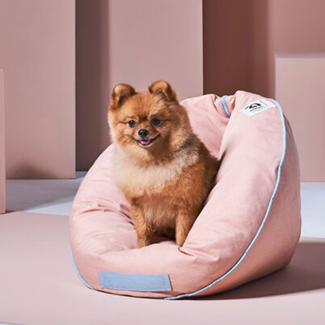 Playful Peach Dog Bed and Cuddle Cushion