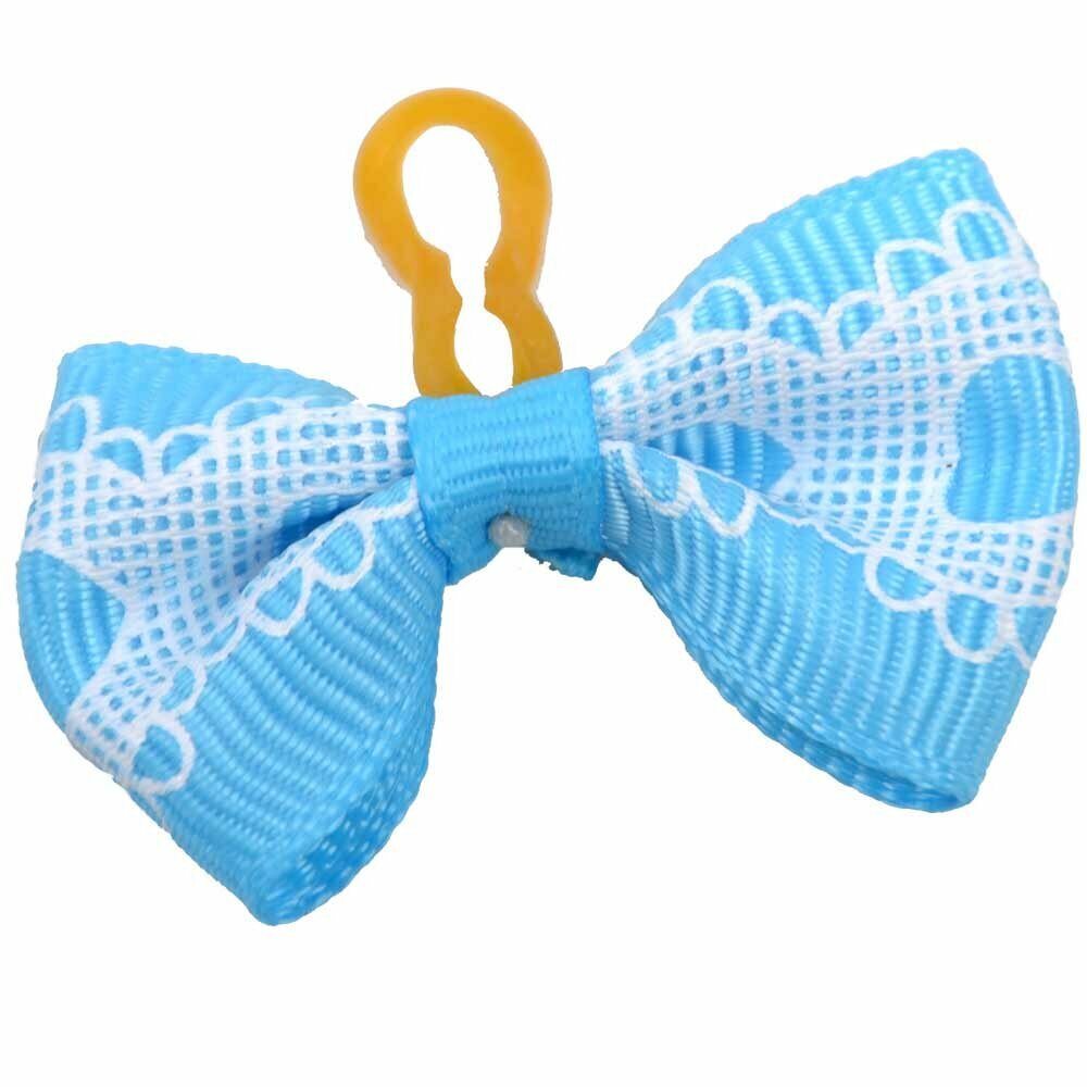 Dog hair bow rubberring "Chiquita blue" by GogiPet