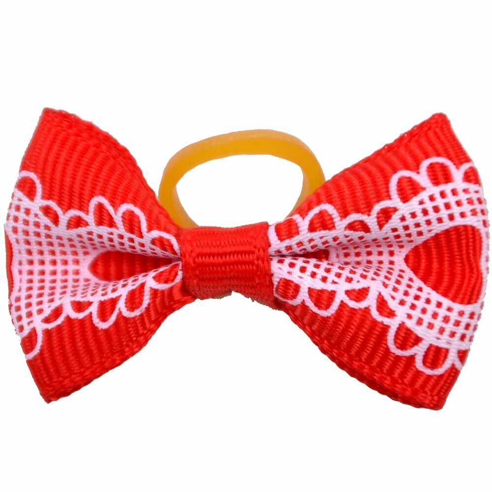 Dog hair bow rubberring "Chiquita red" by GogiPet