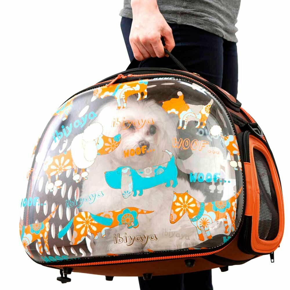 Dog carrier for dogs who want to have everything at a glance