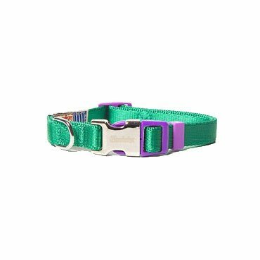 Touchdog dog collar and leash in the set peacock green S