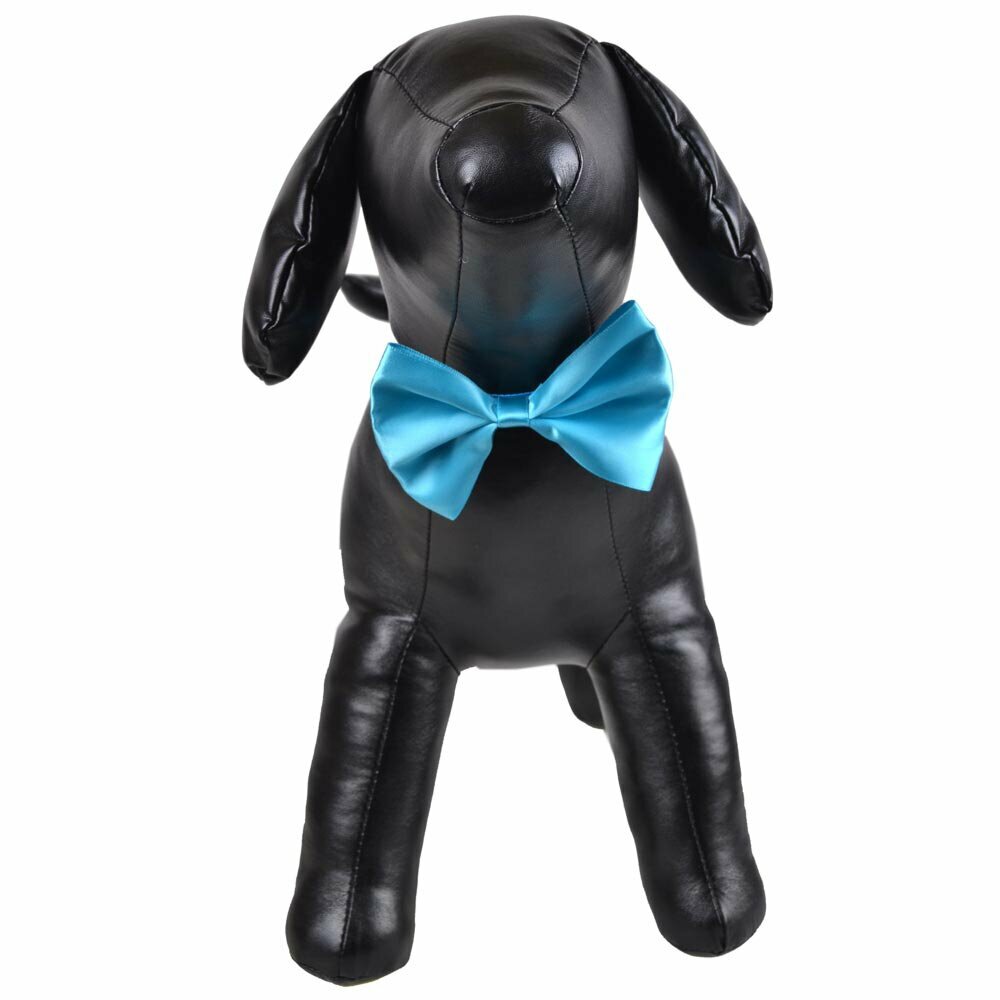 Babyblue bow tie for dogs as fast binder