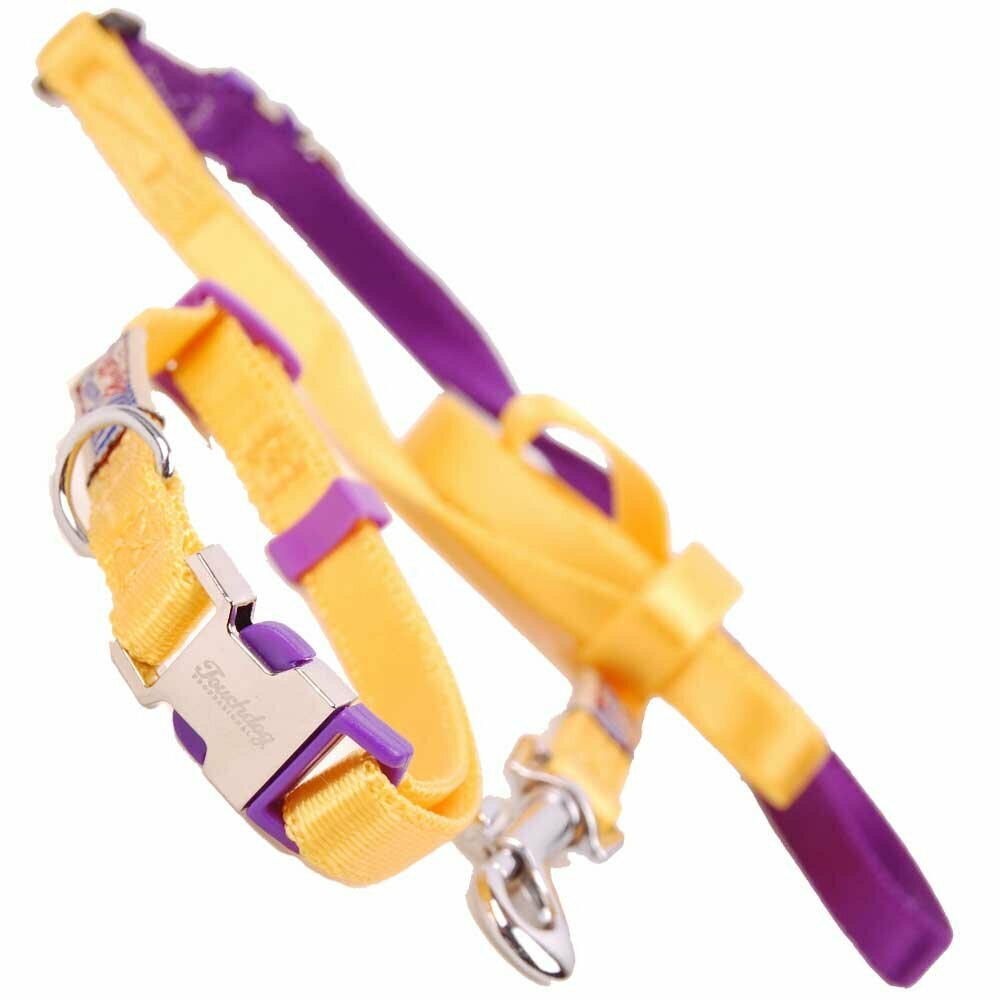 High quality dog collar with free dog leash yellow