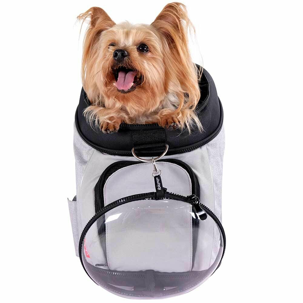 Dog bag with drinking bowl viewing window