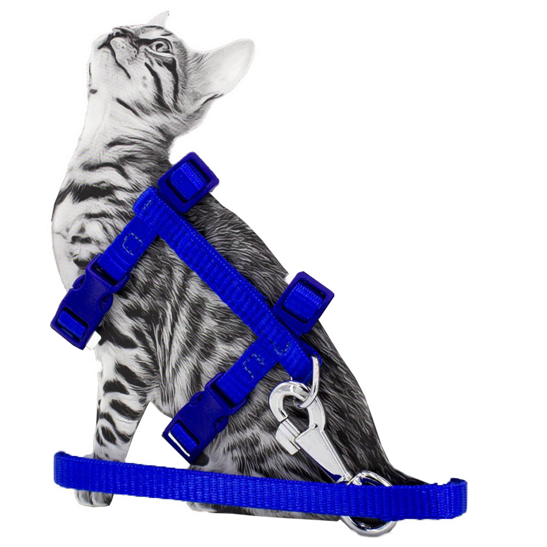 Blue Super Premium cat harness with leash