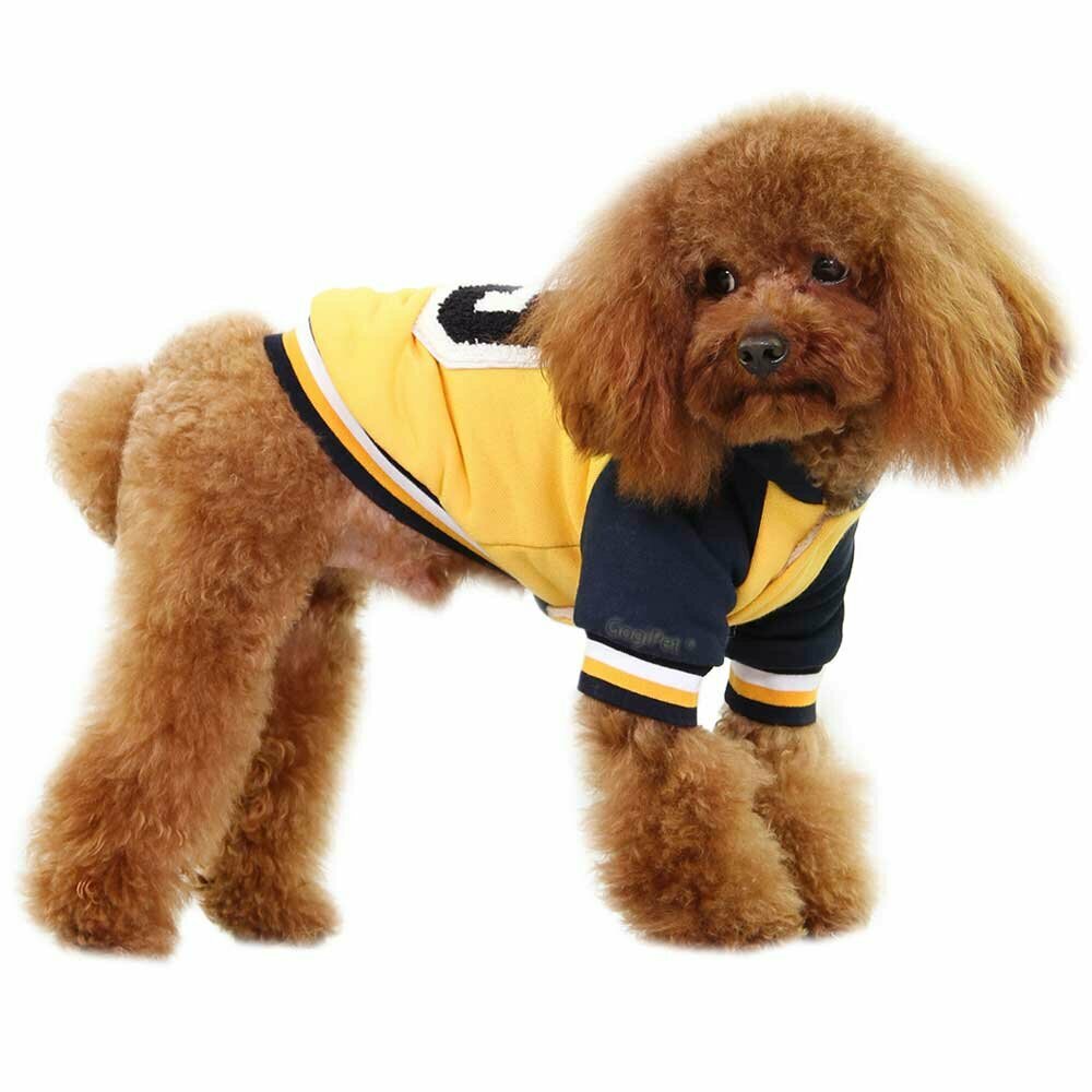 Very warm dog clothes - yellow GogiPet Baseball dog jacket