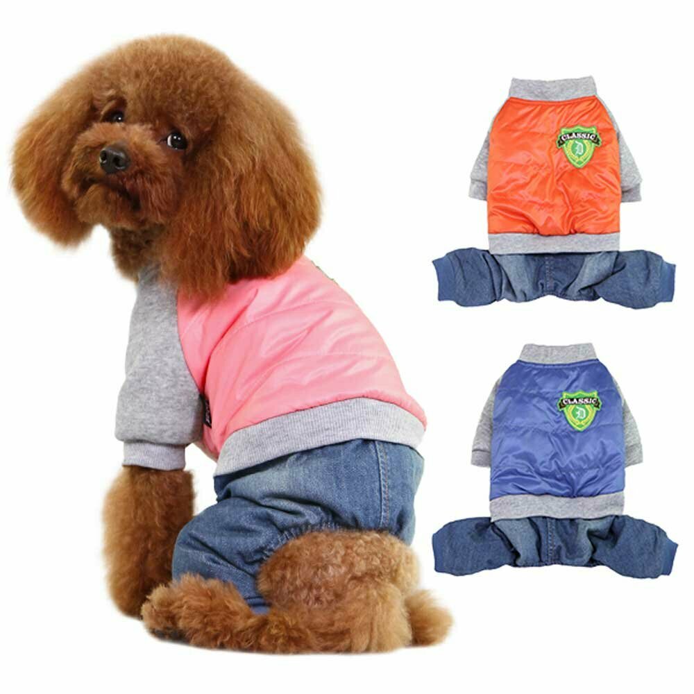 Warm dog clothes for the winter by GogiPet dog fashions