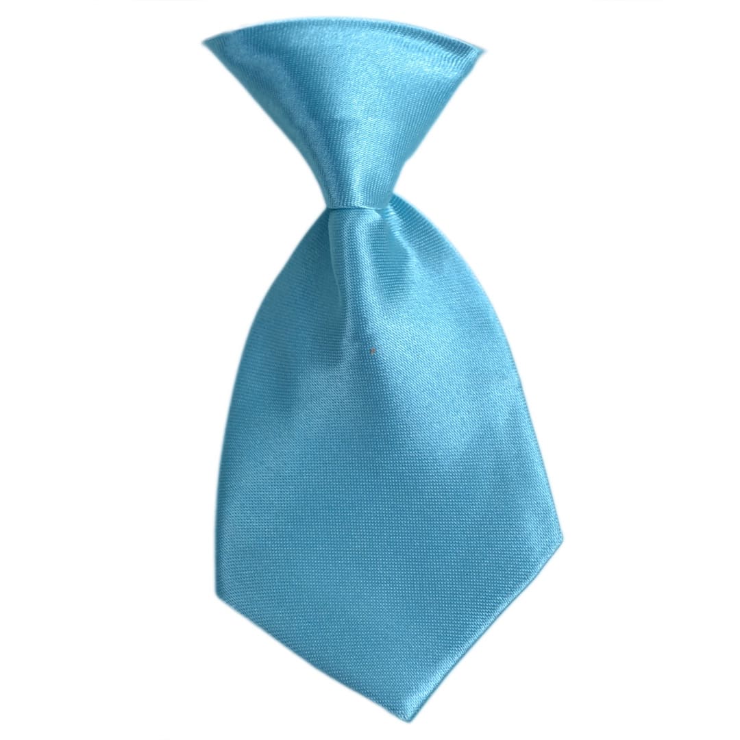 Turquoise Self Tie for Dogs