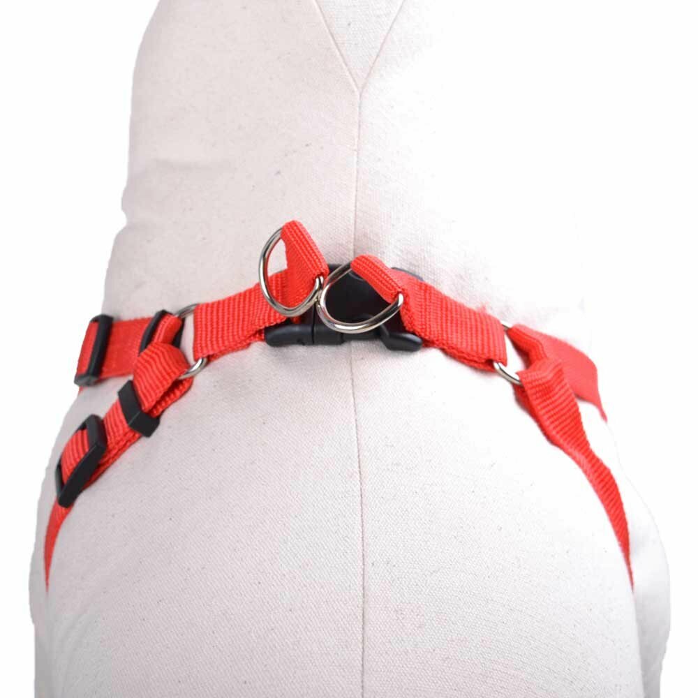 Red dog breast harness with quick release