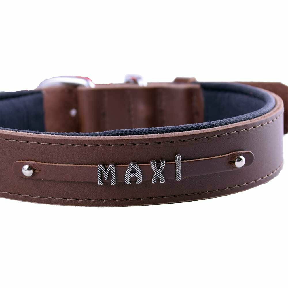 Genuine leather name collar from GogiPet®