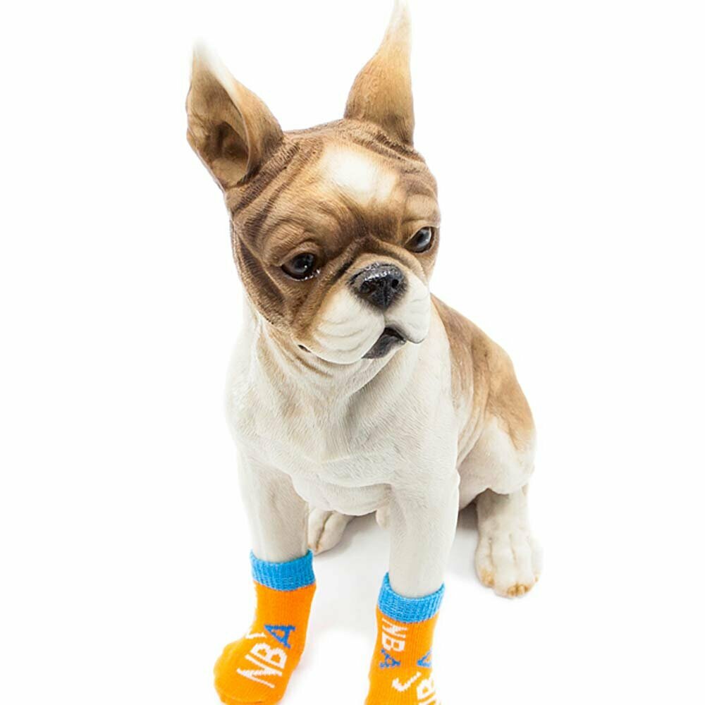 Orange sportsocks for dogs in 4 pack with anti-slip coating