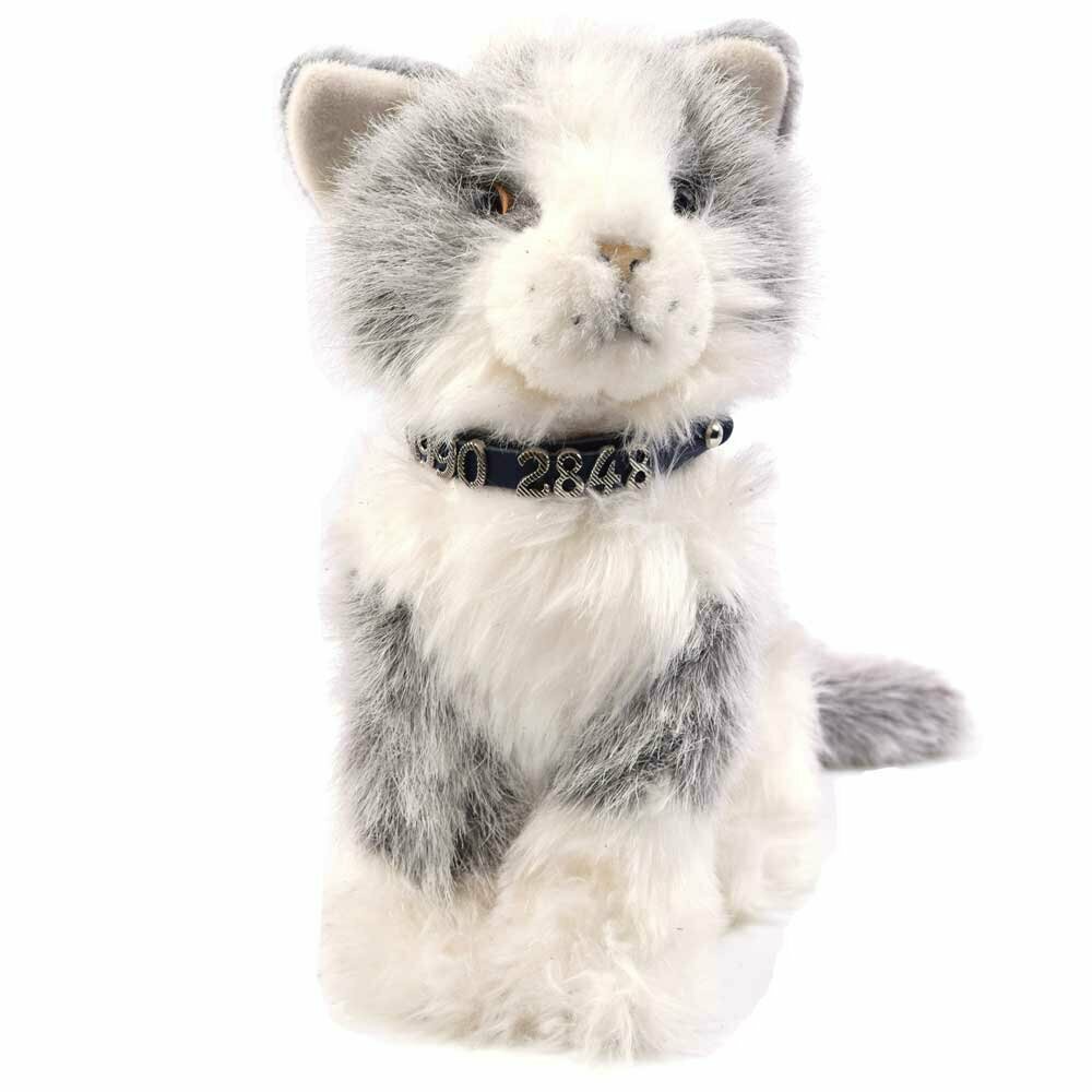 Beautiful collar for cats and small dogs for names and numbers