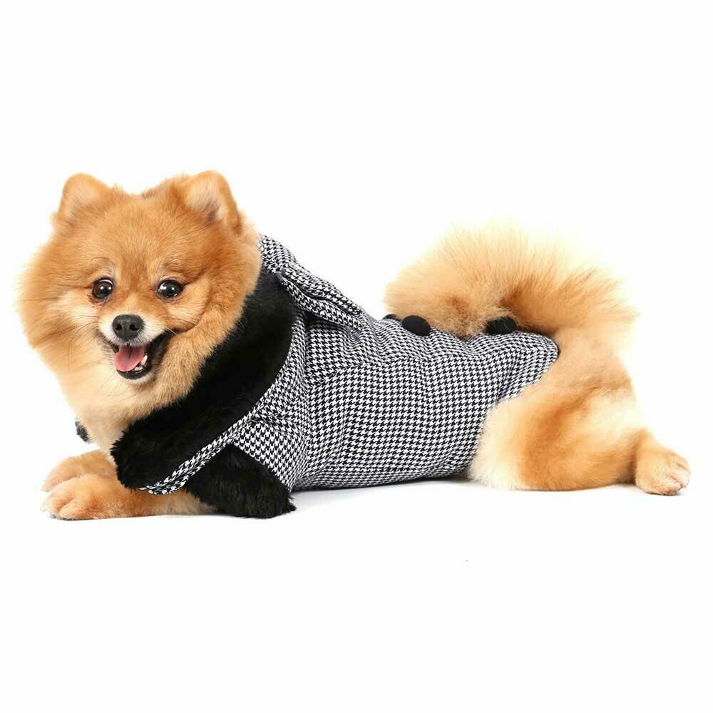 Beautiful warm dog coat at Onlinezoo with guaranteed lowest price