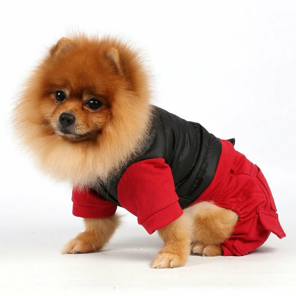 Beautiful dog coat with 4 legs in a sporty design