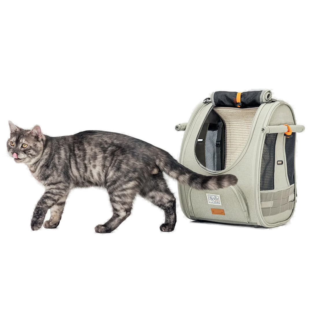 Travel Backpack for Cats