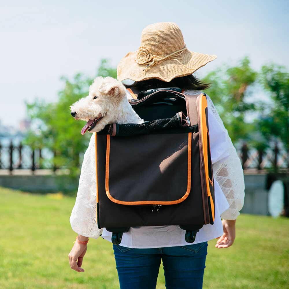 dog backpack  for travel with dog trolley function