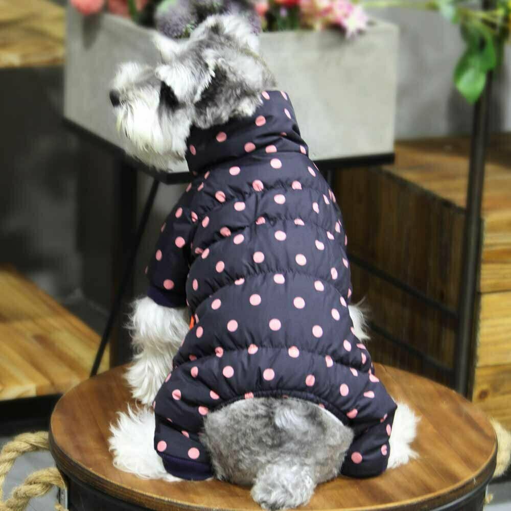 Warm dog clothes for the winter by GogiPet