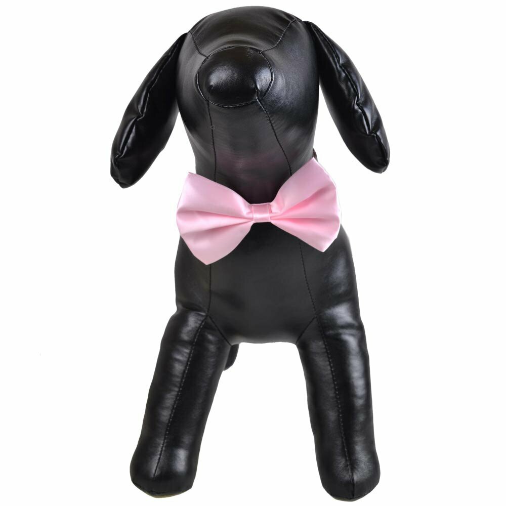 Tender pink bow tie for dogs as fast binder