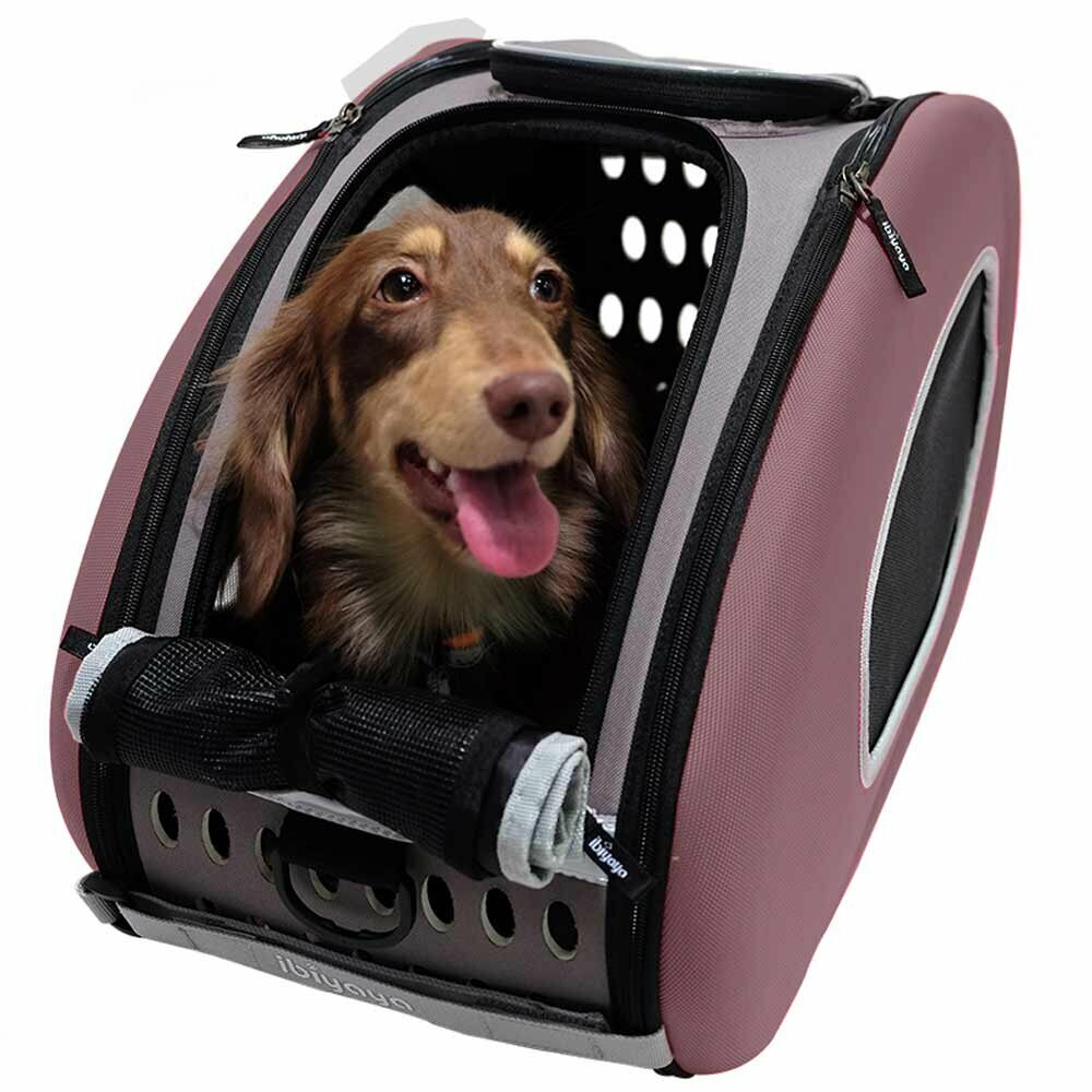 Trolley for dogs with brown dog carrier