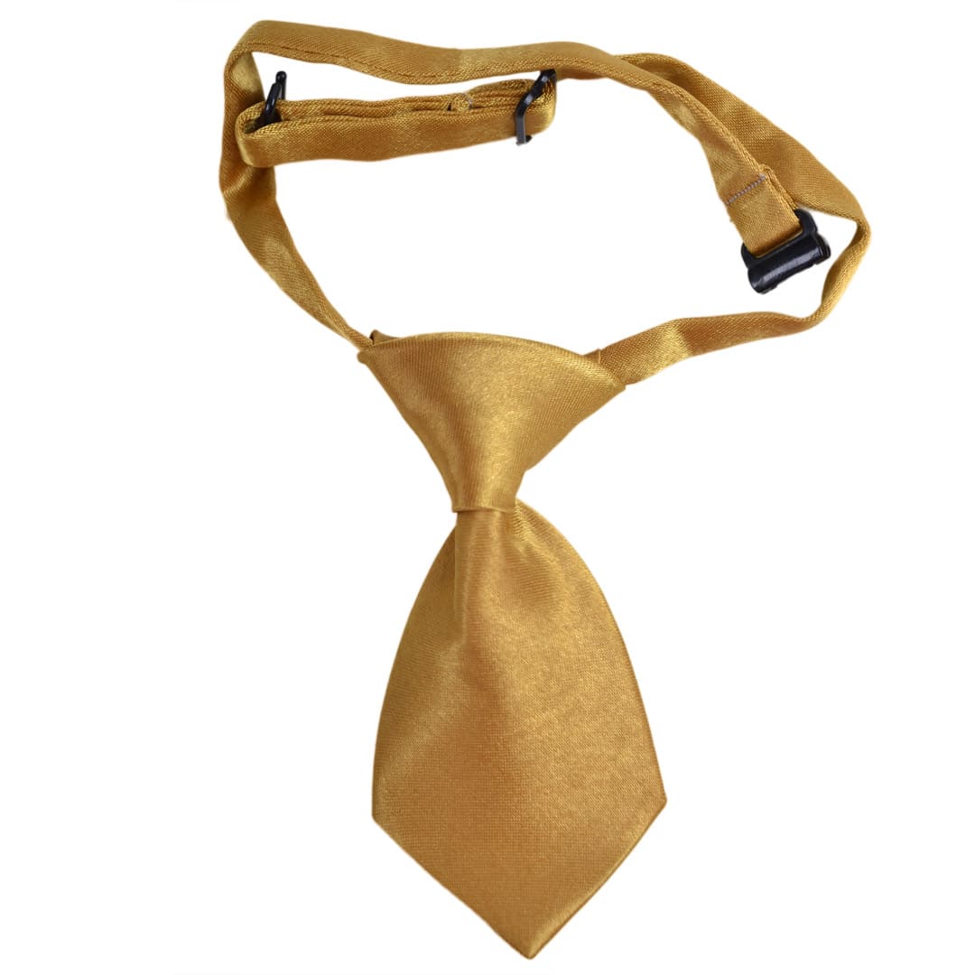 Dog tie - slip-on-tie for dogs golden yellow