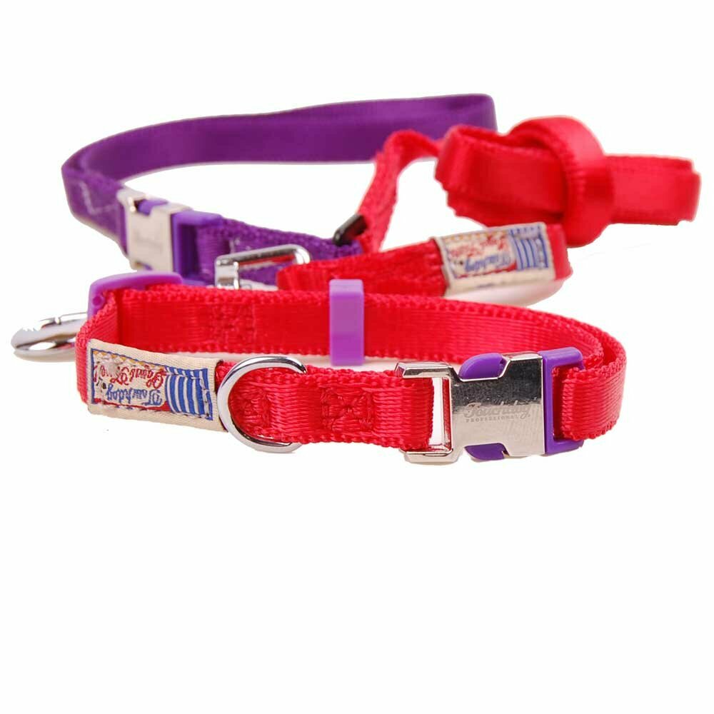 Premium nylon fabric dog collar with clip closure red