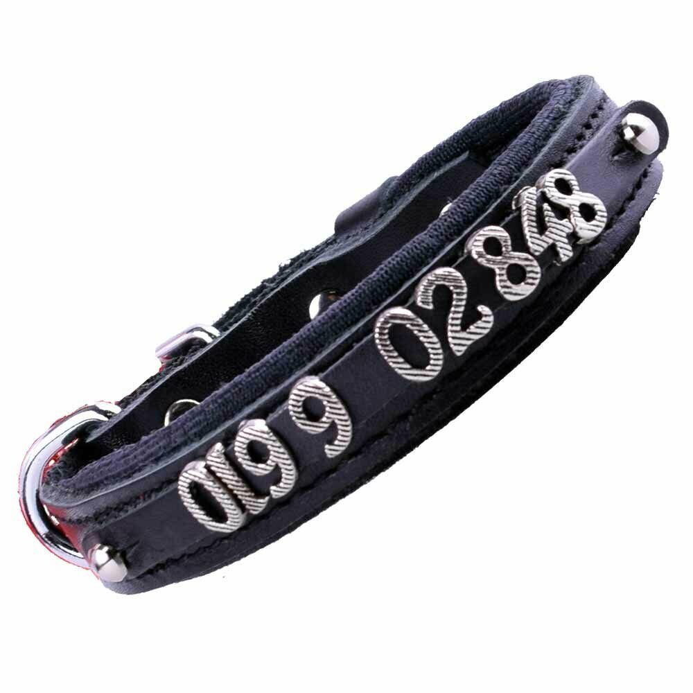 Beautiful numbers for a number or phone numbers dog collar