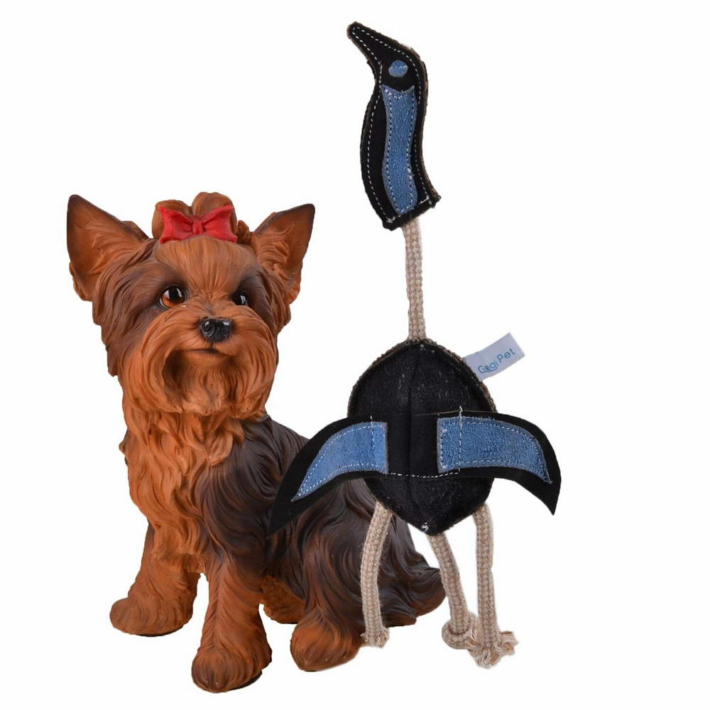 Creative dog toy for big and small dogs
