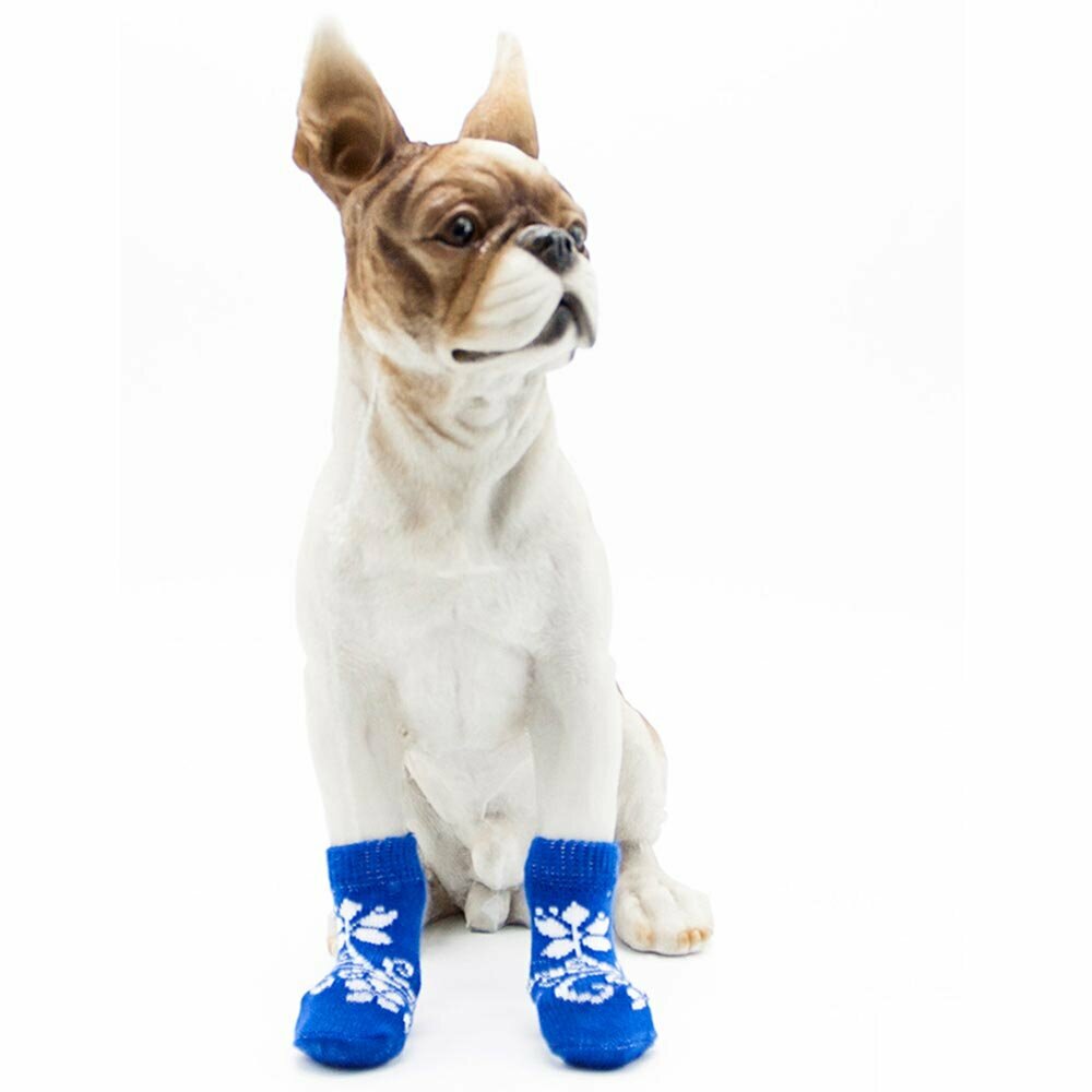 Dog socks blue with flowers