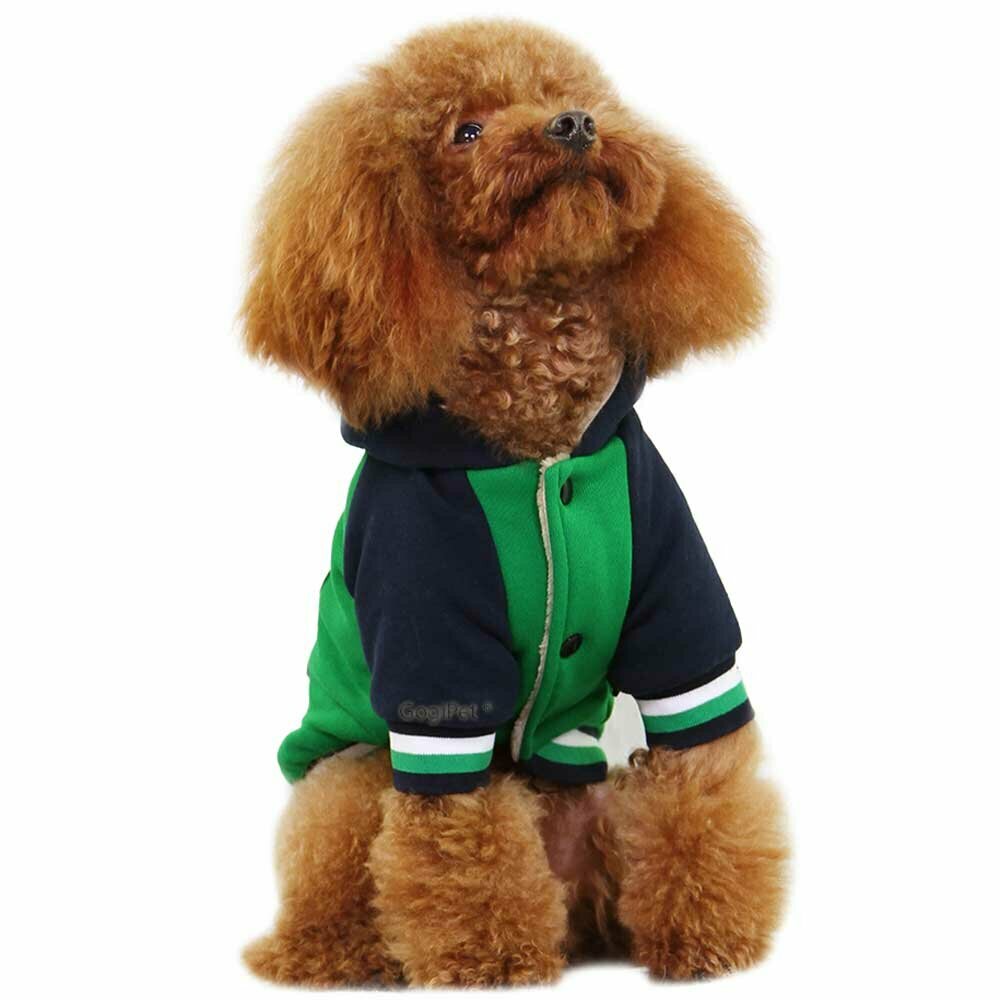 GogiPet dog jacket green - warm Baseball dog jacket for winter