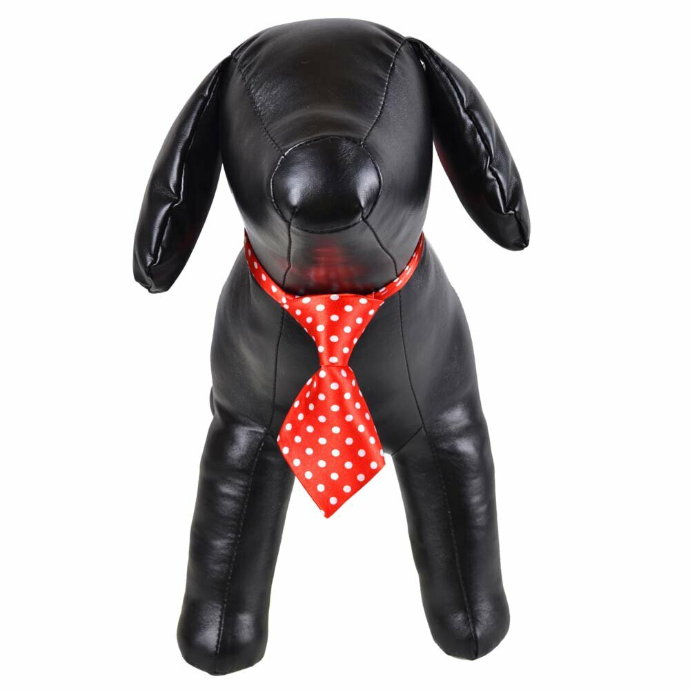 Necktie for dogs spotted red