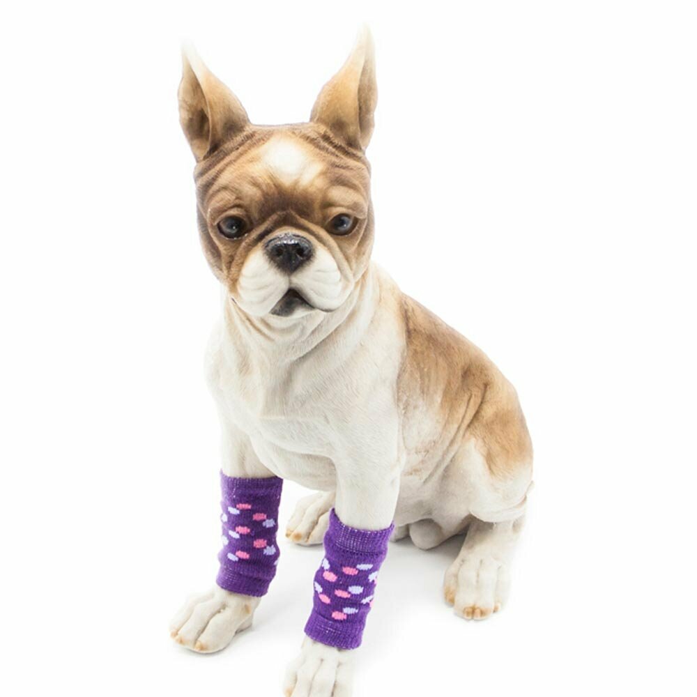 Beautiful leg warmers for dogs purple with polka dots