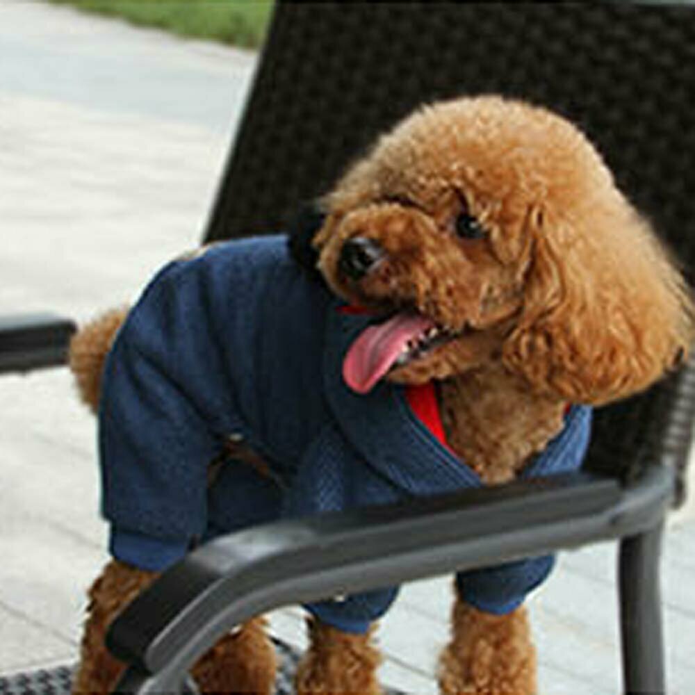 Warm Faschingskostüm for dogs - warm dog clothes