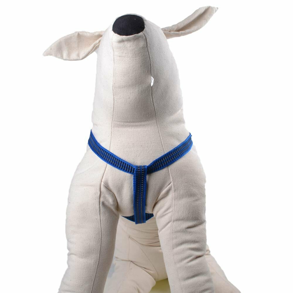 Blue dog harness with reflective stitching