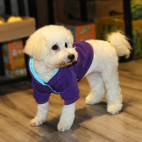 Comfortable sweater for dogs purple