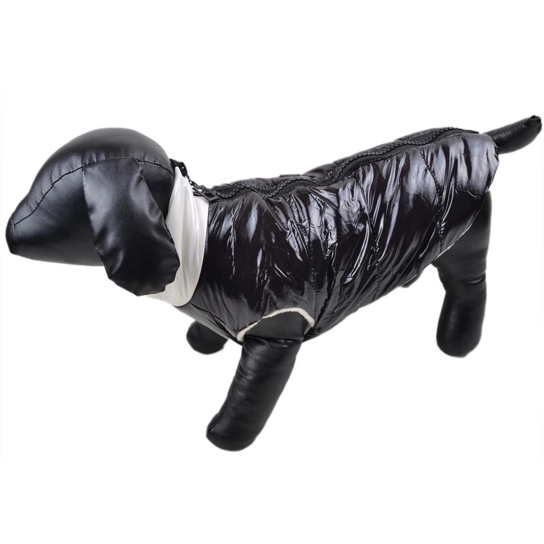 Black dog parka - warm dog clothes