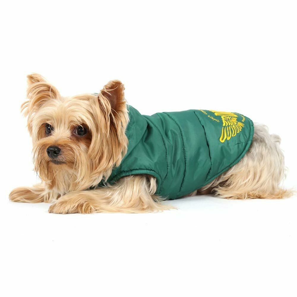 Cuddly warm dog clothes for winter - green dog anorak
