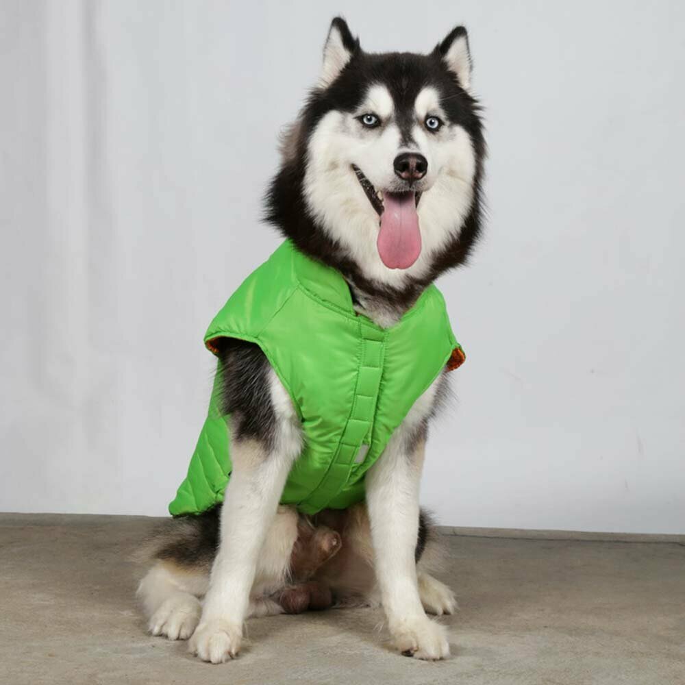 Green Anorak for large dogs by DoggyDolly