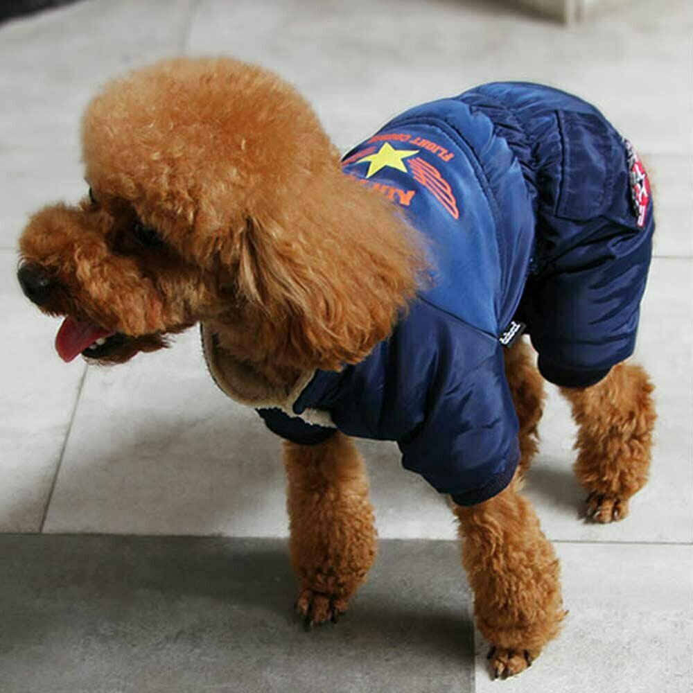 Warm dog coat Air Force