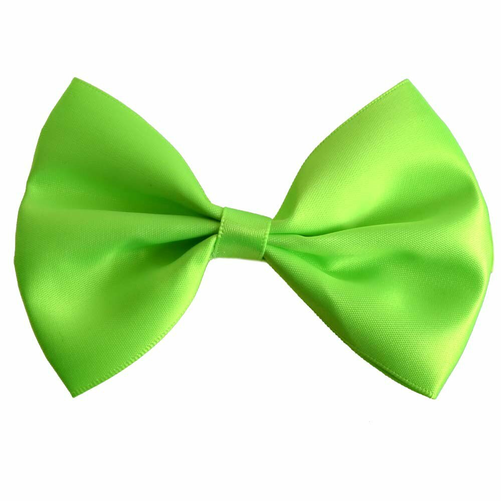Lightreen bow tie for dogs by GogiPet®