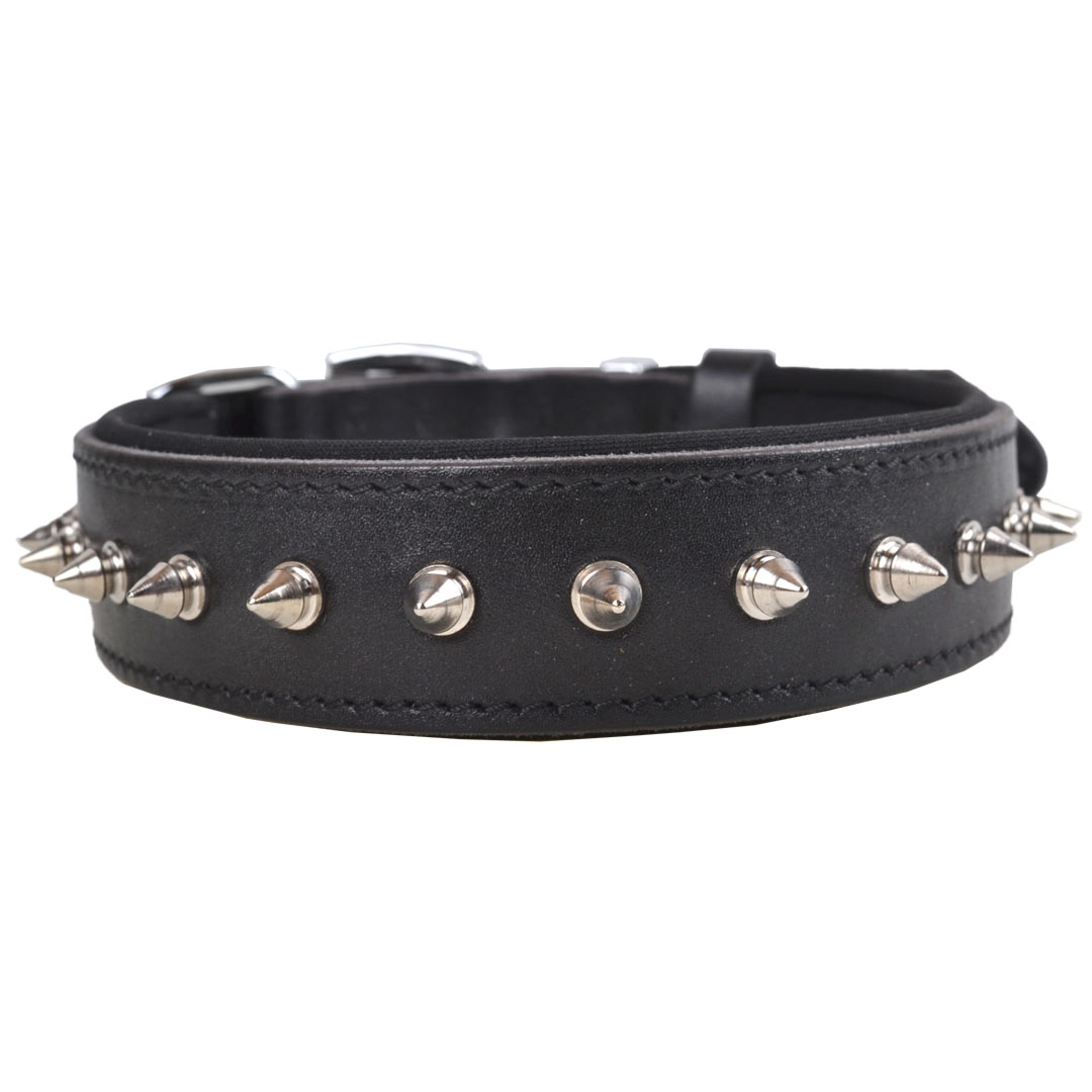Handmade, black leather dog collar with pointed rivets