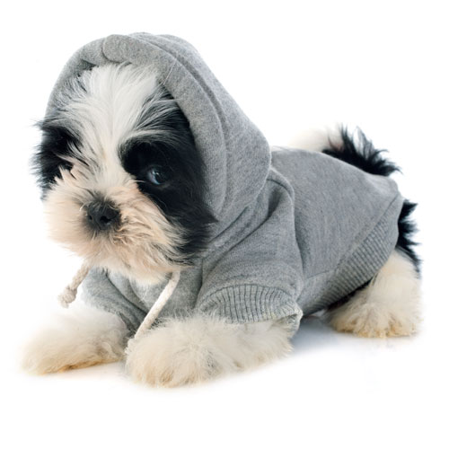 Hooded Dog Sweater