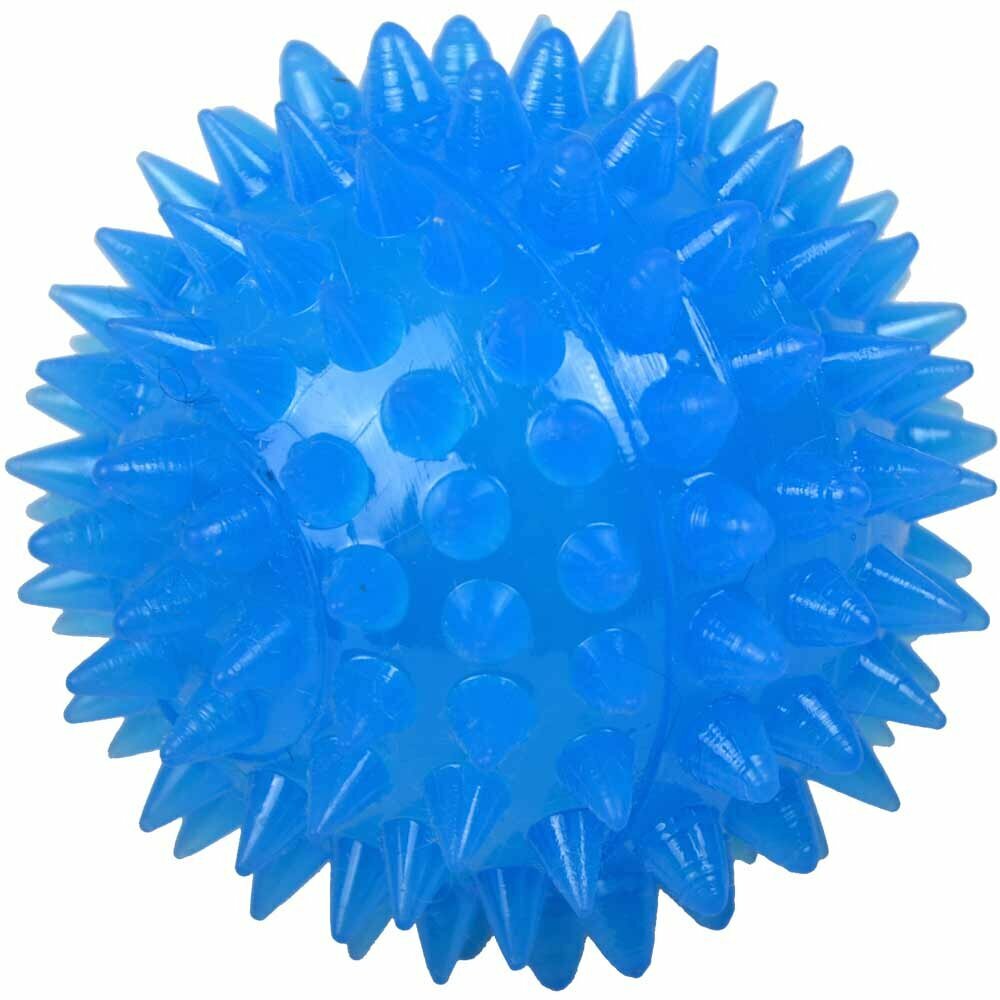 Blue sound ball with light - dog toy