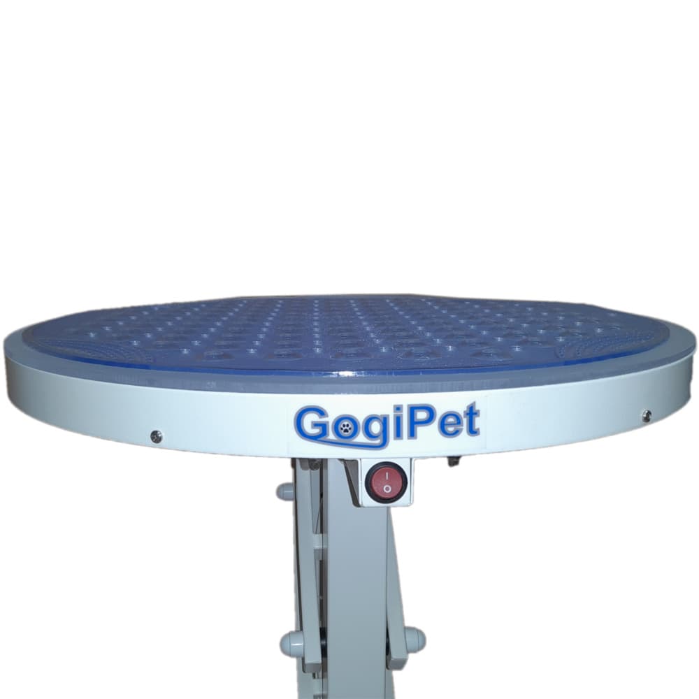 GogiPet Starlight grooming table with light