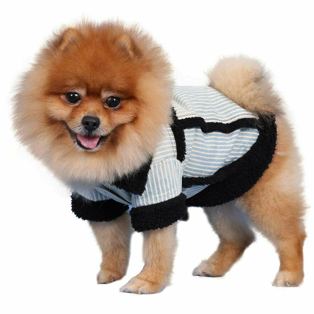 Warm dog coat with jeans