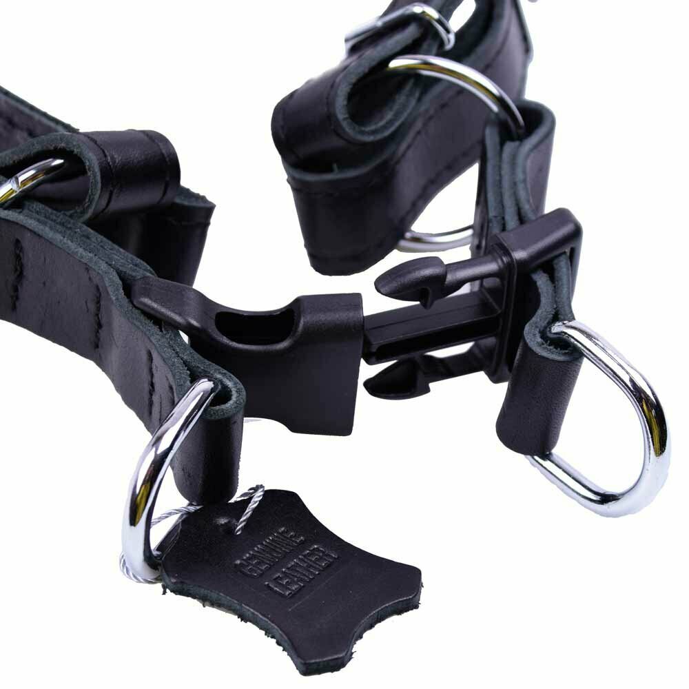Leather dog harness with quick fastener black