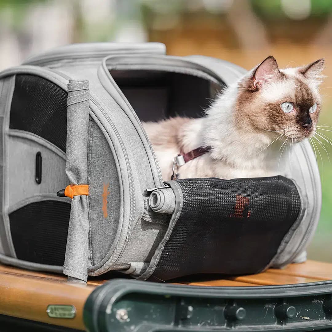 Cat Transport Backpack Delux
